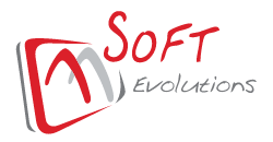 Soft Evolutions Technology - Logo